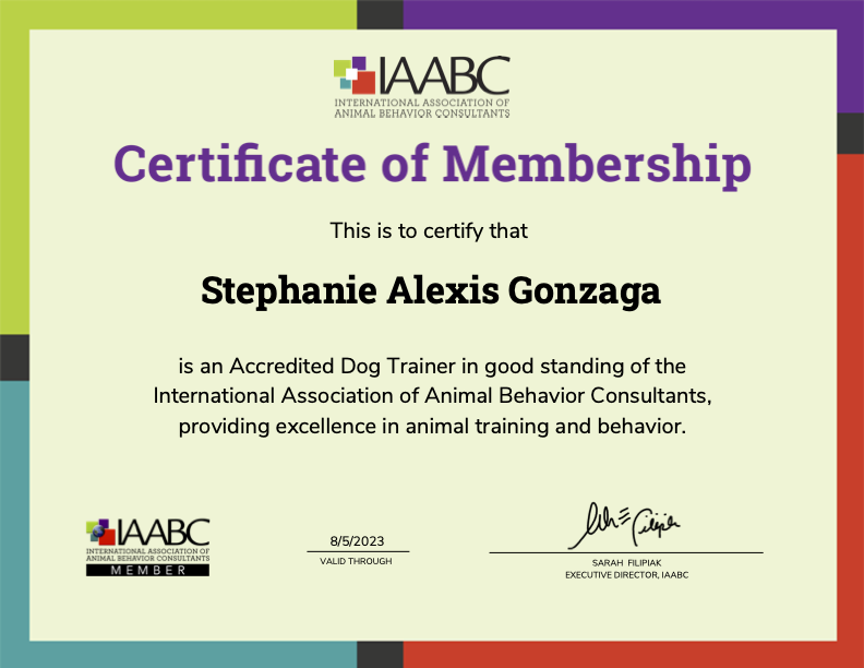 iaabc accredited dog trainer stef